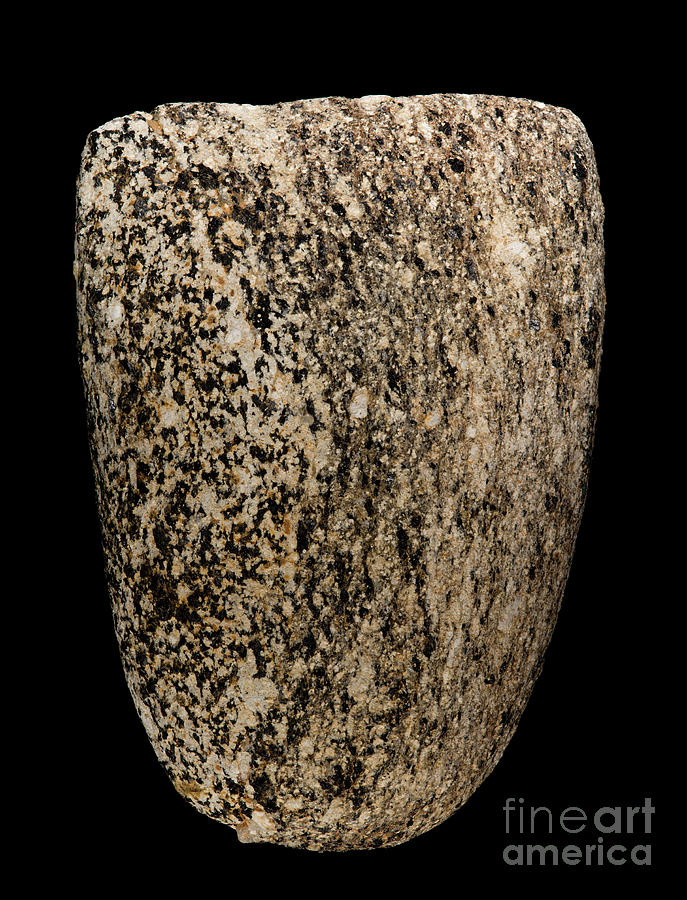 Stone Polished Axe #3 Photograph by Pascal Goetgheluck/science Photo Library