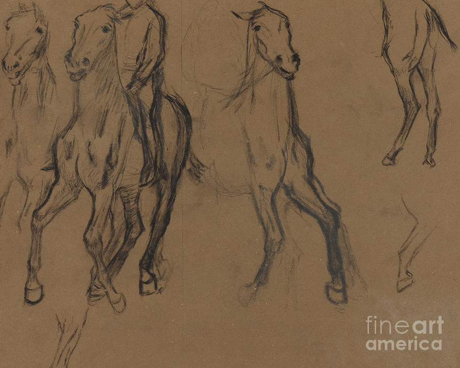 Study of Horses Drawing by Edgar Degas
