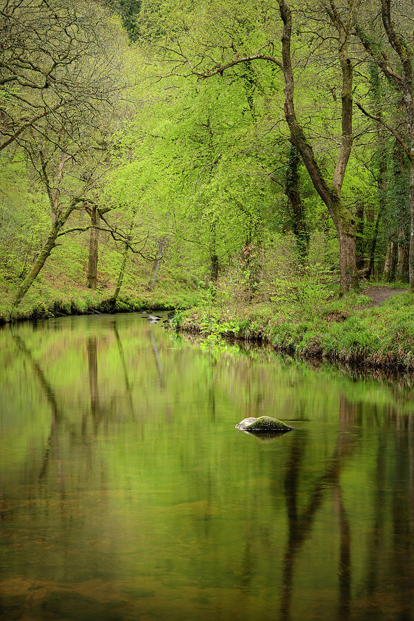 Stunning peaceful Spring landscape image of River Teign flowing ...