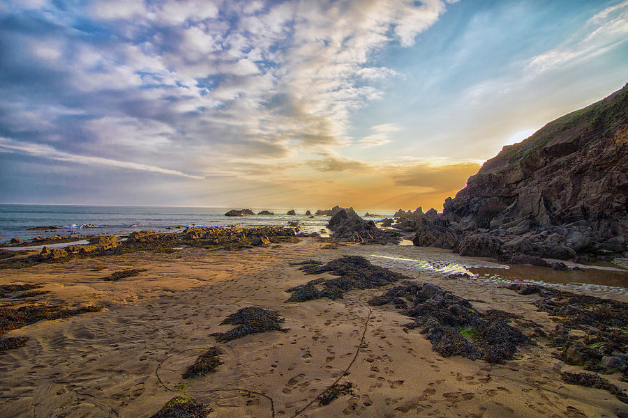 Summer Photograph - Sunset Beach #3 by Martin Newman