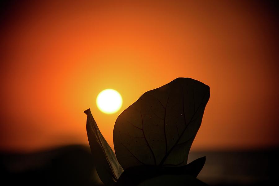 Sunset on Caribbean #4 Photograph by Robert Grac