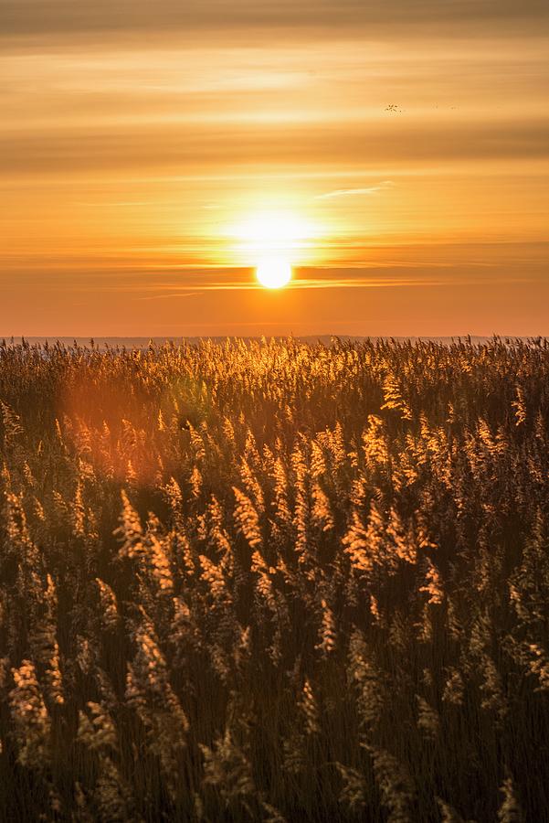 Sunset Over The Pomeranian Landscape #3 Photograph by Jalag / Lukas Sprl