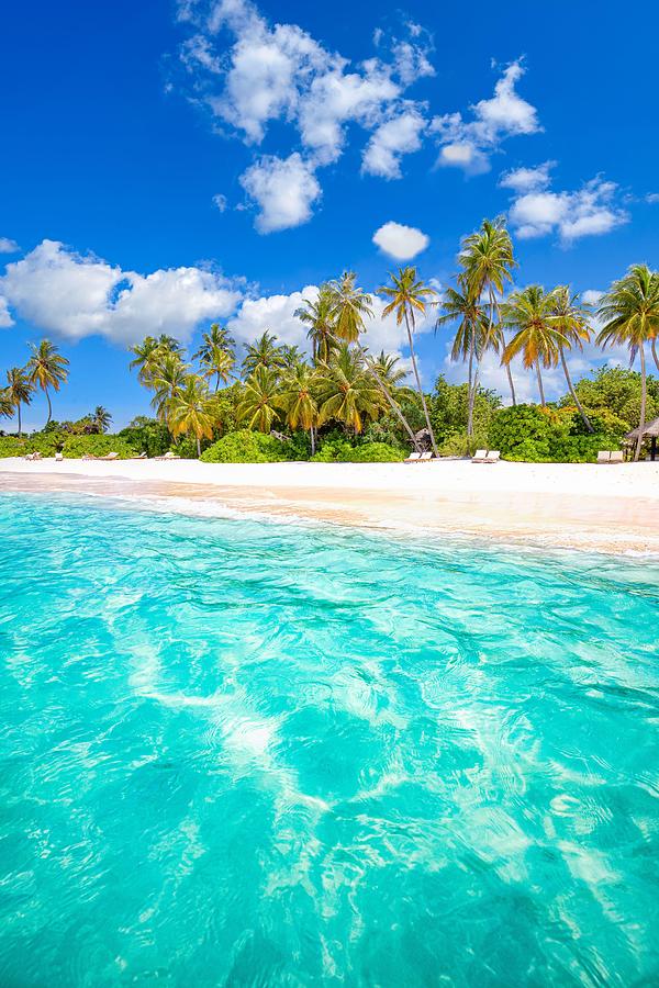 Tahiti Or Maldives Island Panoramic Photograph by Levente Bodo - Fine ...