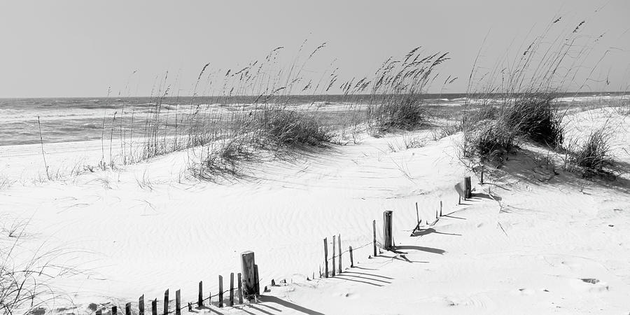 Tall Grass On The Beach, Perdido Key #3 Photograph by Panoramic Images