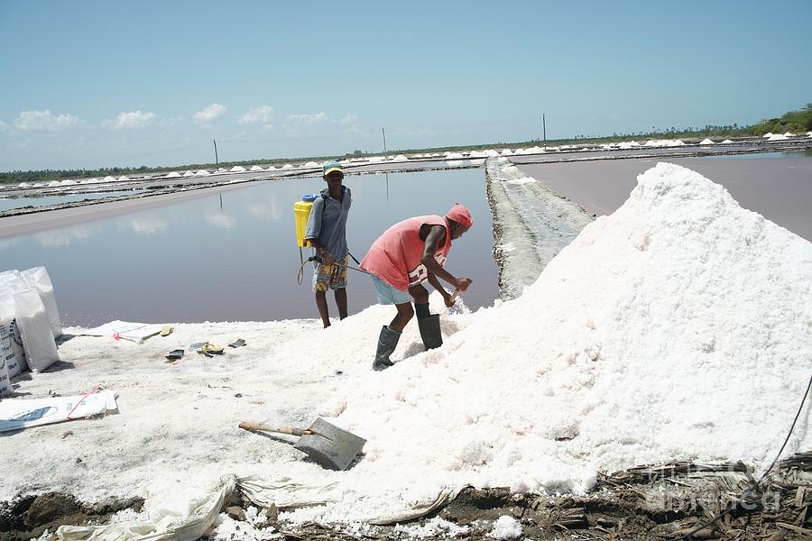 Tanzania Salt Pans #3 Photograph by Andy Crump/science Photo Library
