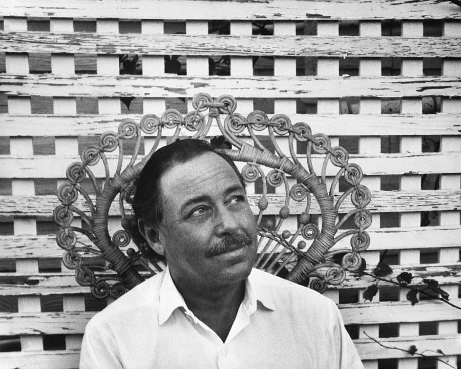 Tennessee Williams #3 Photograph by George Daniell