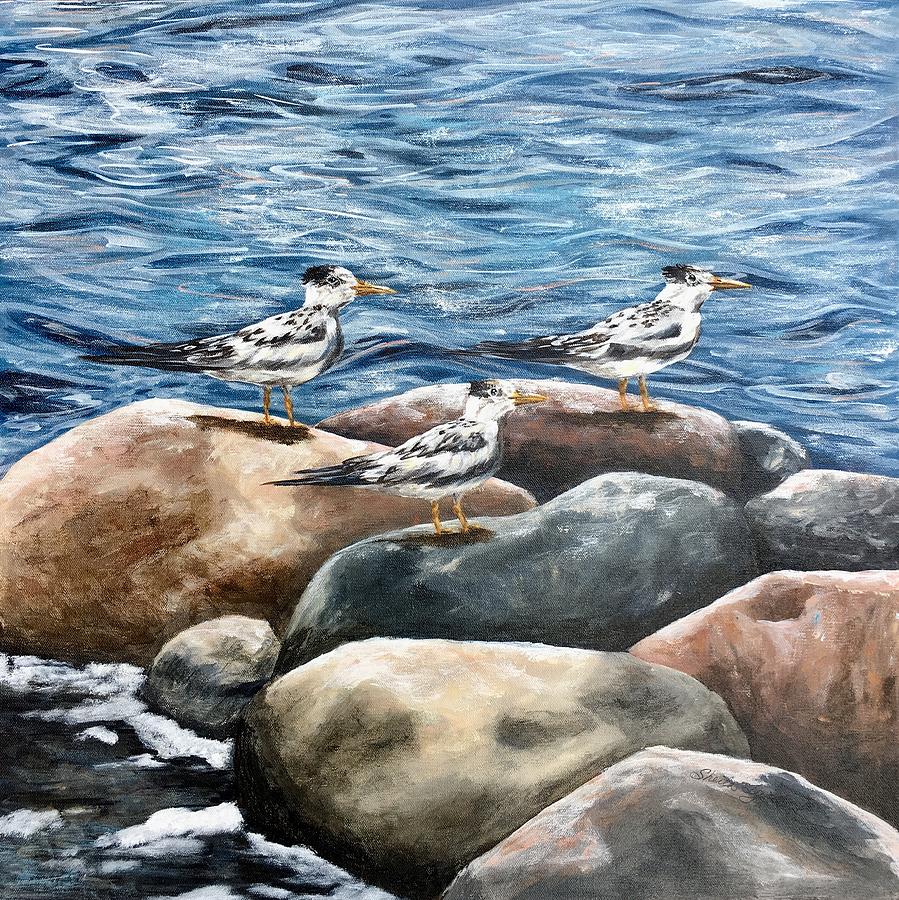 3 Terns Painting by Sheila Tysdal