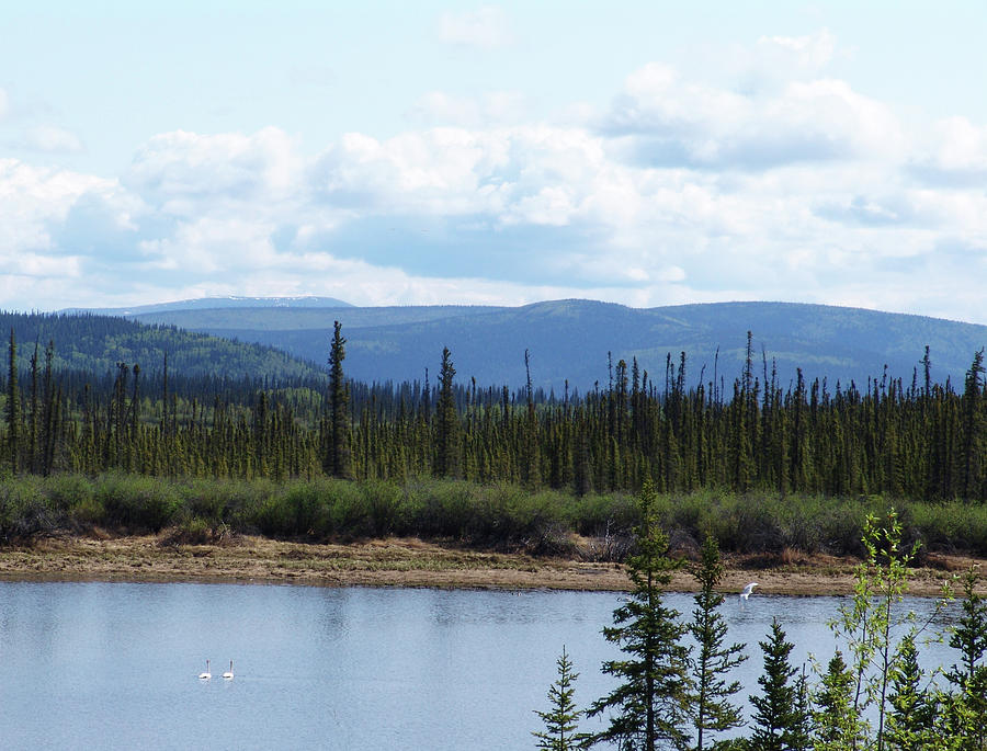 Tetlin Photograph - Tetlin National Wildlife Refuge Alaska by Robert Braley Tetlin Photograph - Tetlin National Wildlife Refuge Alaska by Robert Braley
