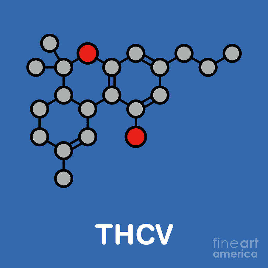 Tetrahydrocannabivarin Cannabinoid Molecule Photograph By Molekuul ...