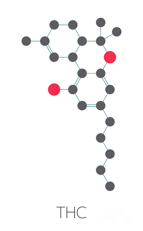 thc molecular structure