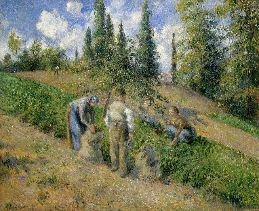 Camille Pissarro Painting - The Harvest, Pontoise #3 by Camille Pissarro