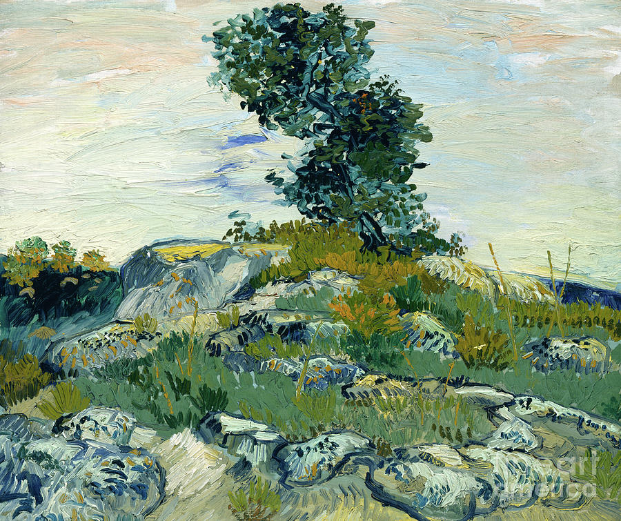 The Rocks, 1888 Painting by Vincent Van Gogh