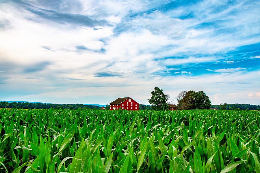 The Sherfy Farm Photograph by William E Rogers - Pixels