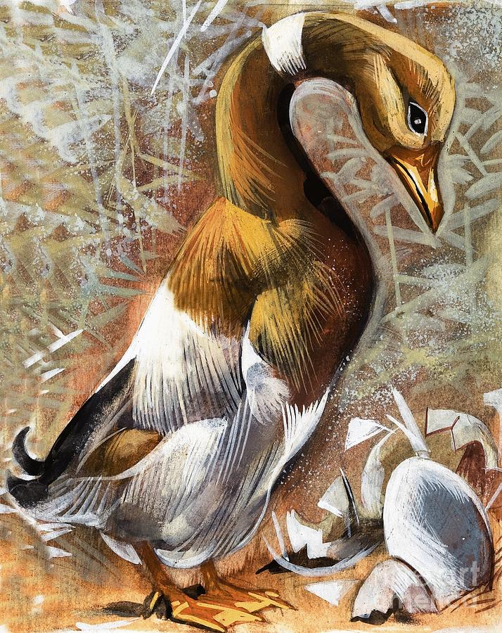 The Ugly Duckling Painting by English School