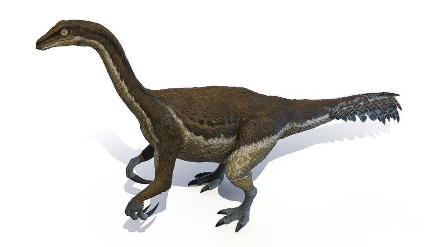 Therizinosaurus #3 Photograph by Sebastian Kaulitzki/science Photo Library
