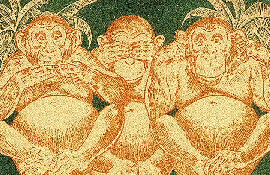 Jungle Drawing - Three Monkeys #3 by CSA Images