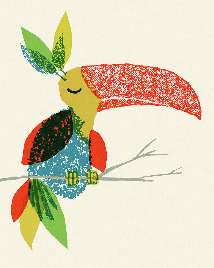Nature Drawing - Toucan #3 by CSA Images