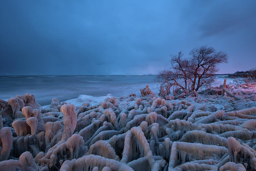 Trees Encased In Ice In Lake Erie Winter Storm Photograph by Cavan Images