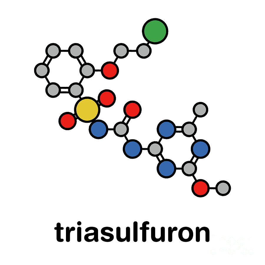 Triasulfuron Herbicide Molecule Photograph by Molekuul/science Photo ...