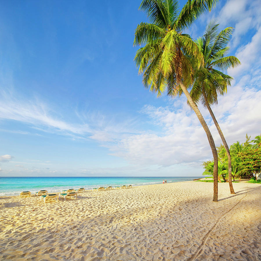 Tropical Beach Digital Art by Pietro Canali - Fine Art America