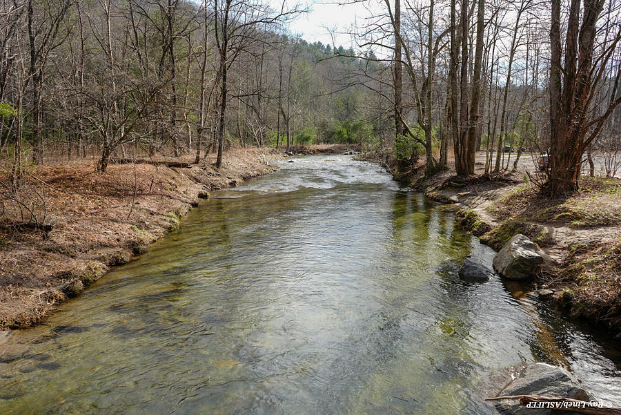 Trout Stream Photograph By Ray Lineberry - Fine Art America