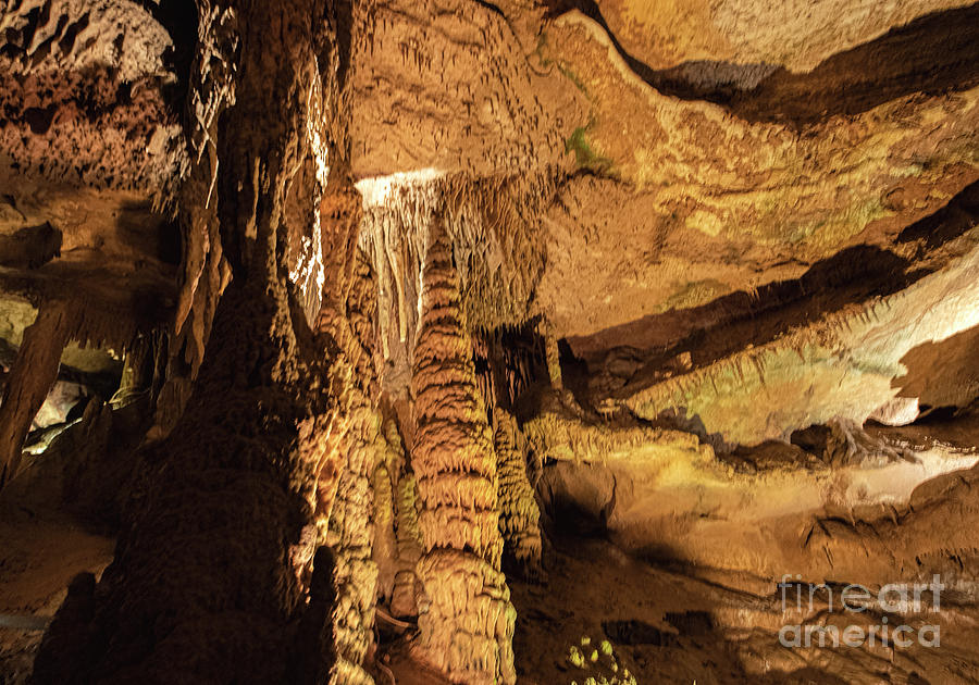 Tuckaleechee Caverns Stalagmites #5 Photograph by David Oppenheimer