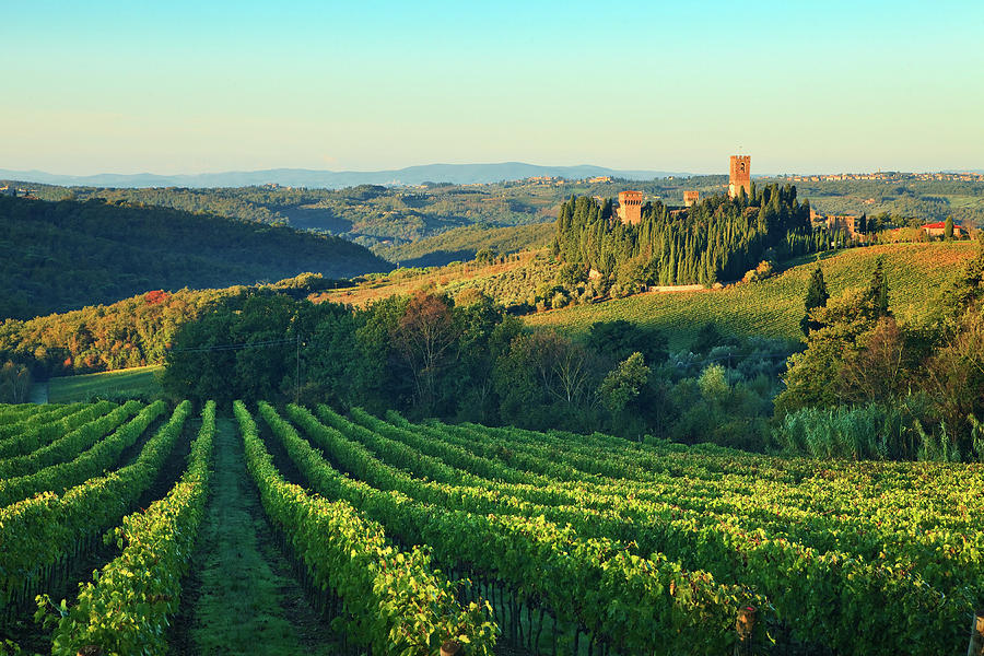 Tuscany, Chianti, Vineyards, Italy Digital Art by Luigi Vaccarella