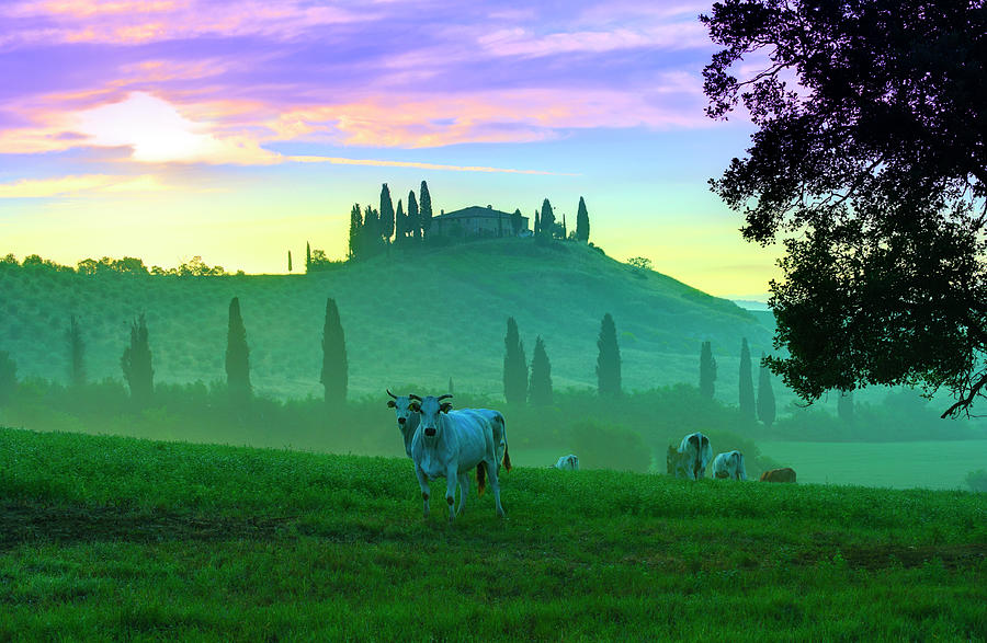 Tuscany Landscape #3 Photograph by Creativaimage