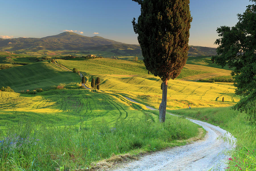 Tuscany, Pienza, Countryside, Italy #3 Digital Art by Maurizio Rellini