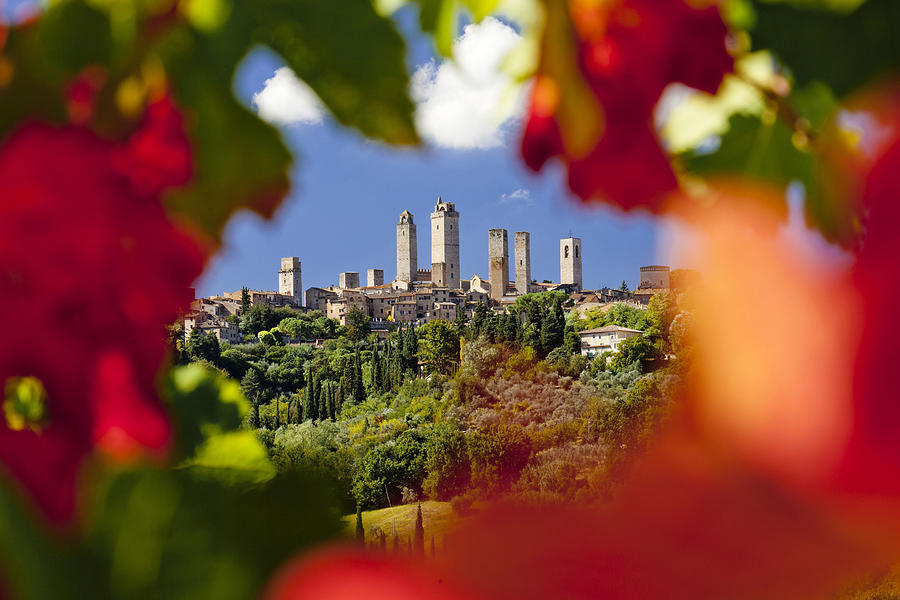 Tuscany, San Gimignano, Italy #3 Digital Art by Olimpio Fantuz