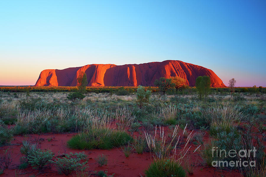 Uluru At Dawn #3 Photograph by Simonbradfield