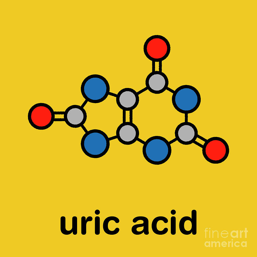 Uric Acid Molecule #3 Photograph by Molekuul/science Photo Library