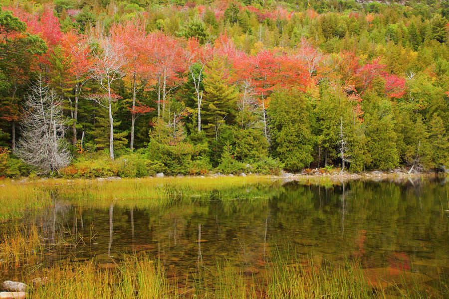Agua Photograph - Usa, Acadia National Park, Maine 3 by Joanne Wells Agua Photograph - Usa, Acadia National Park, Maine 3 by Joanne Wells