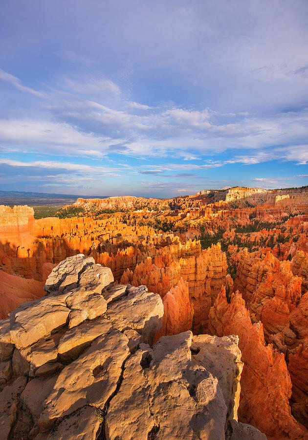 Usa, Utah, Bryce Canyon, Landscape With #3 Photograph by Daniel Grill