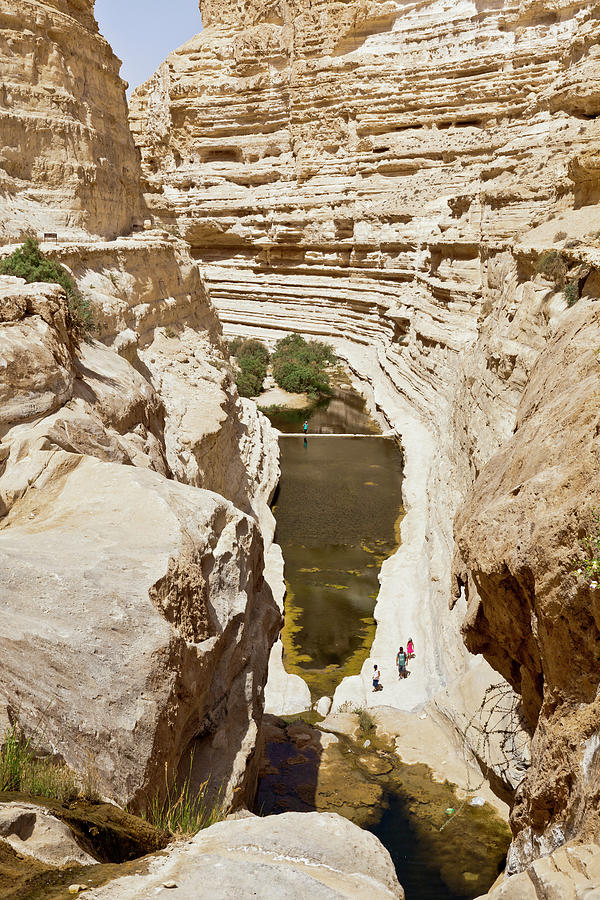 View Of People At Ein Avdat And Still Water In En Avdat National Park, Negev, Israel #3 Photograph by Jalag / Walter Schmitz
