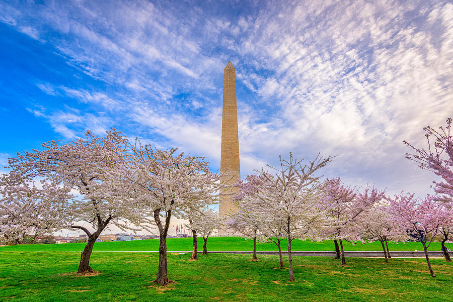Spring Photograph - Washington Dc, Usa In Spring Season #3 by Sean Pavone