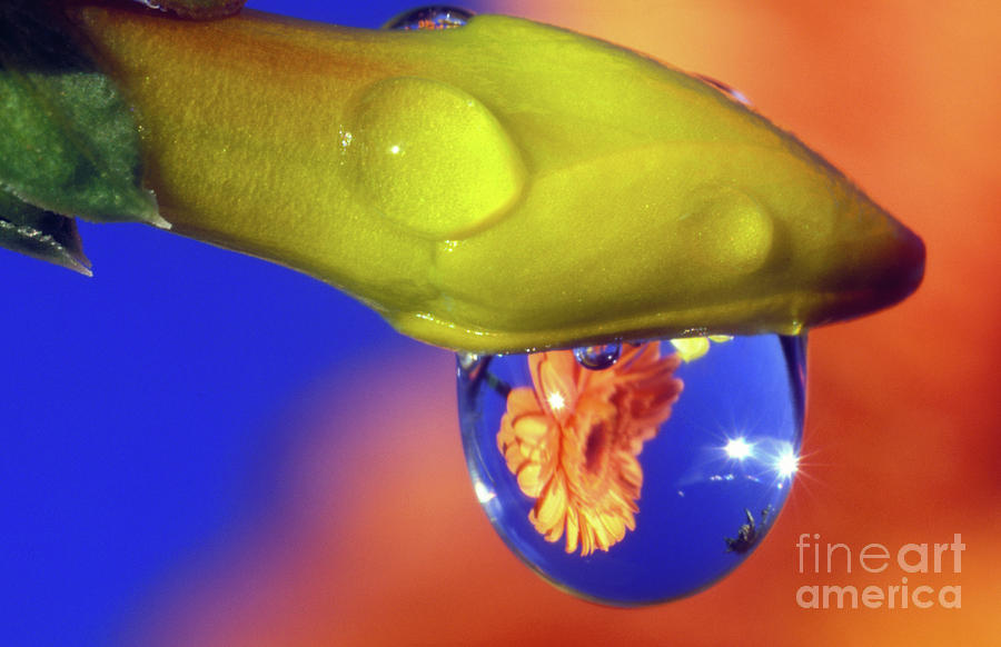 Water Droplet #3 Photograph by Dr. John Brackenbury/science Photo Library