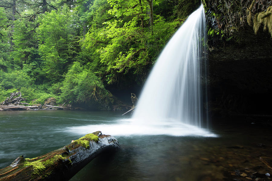 Waterfall In A Forest, Samuel H #3 Photograph by Panoramic Images