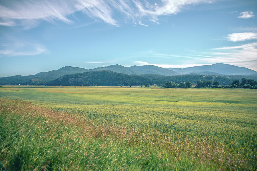 Wide Open Vast Montana Landscape In Summer #3 Photograph by Alex Grichenko