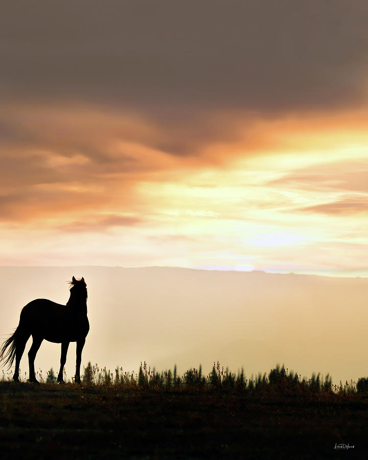 Wild Horse Sunset #3 Photograph by Leland D Howard