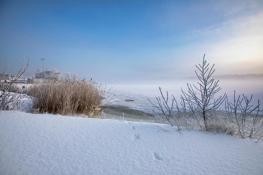 Sunlight By The Winter River in Jurmala  Photograph by Aleksandrs Drozdovs