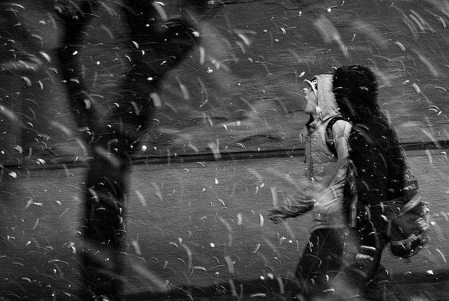 Winter Passengers #3 Photograph by Nicoleta Gabor