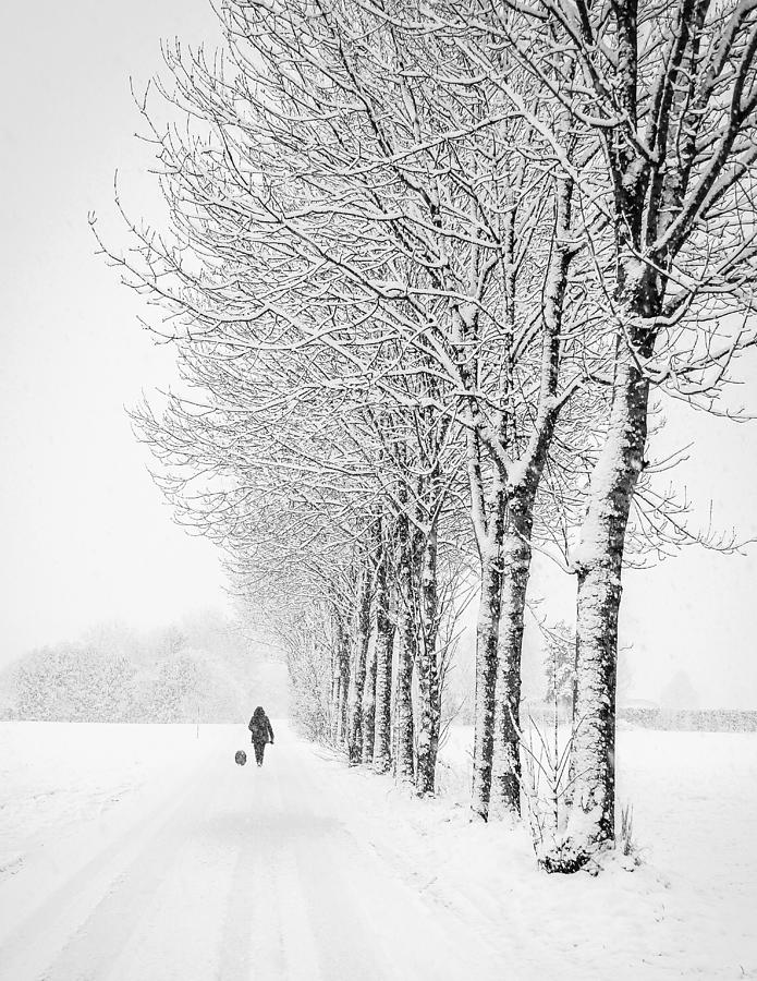 Tree Photograph - Winter Walk #3 by Renate Wasinger