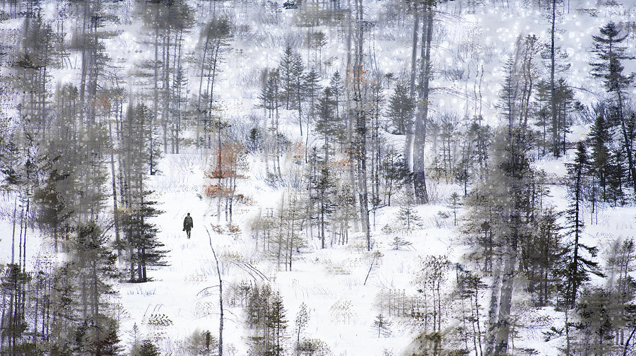 Winter Photograph - Winter Wonderland #3 by Larry Deng