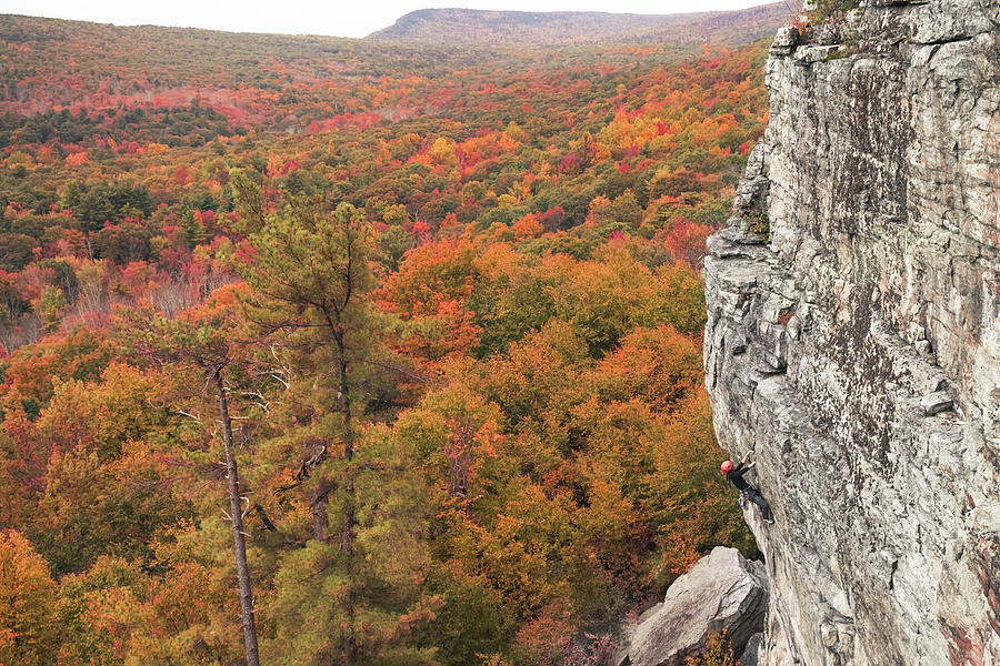 Woman Climbing In The Fall In The Gunks #3 Photograph by Cavan Images Woman Climbing In The Fall In The Gunks #3 Photograph by Cavan Images