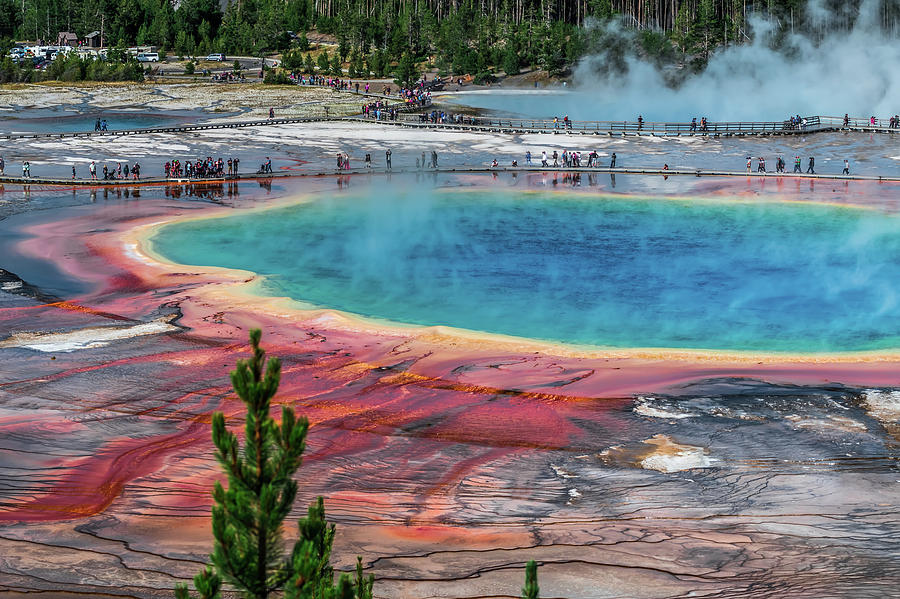 World Famous Grand Prismatic Spring in Yellowstone National Par #3 Photograph by Alex Grichenko
