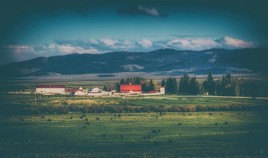 Farm Photograph - Wyoming Cattle Ranch #3 by Mountain Dreams
