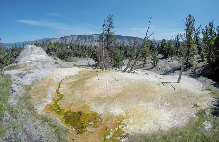 Yellostone National Park Wyoming Mammoth Springs Landscape #3 Photograph by Alex Grichenko
