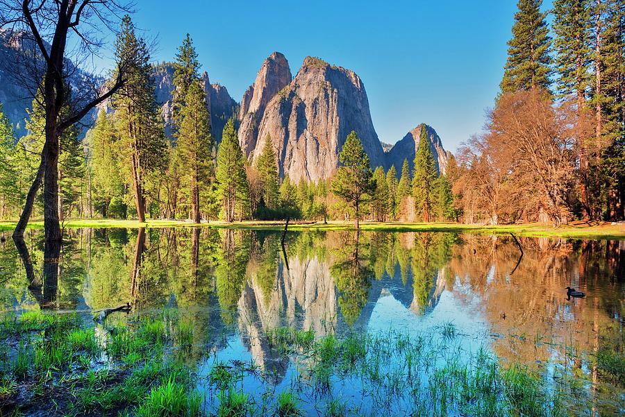 Yosemite National Park, California #3 Digital Art by Jordan Banks