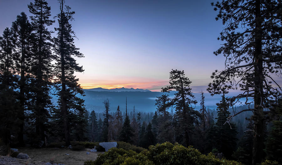 Yosemite National Park Early Moring Sunrise Views #3 Photograph by Alex Grichenko